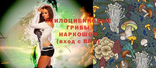 каннабис Алзамай