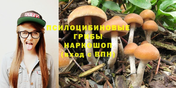 эйфоретик Алексин