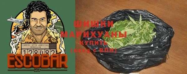 прущие грибы Нязепетровск