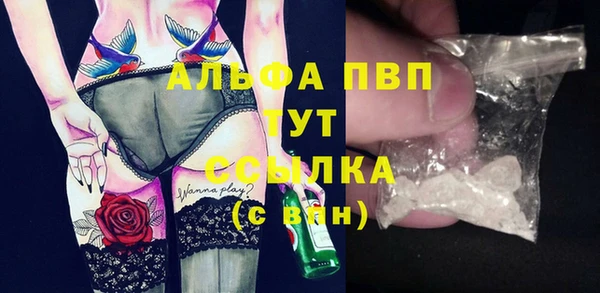 спайс Няндома