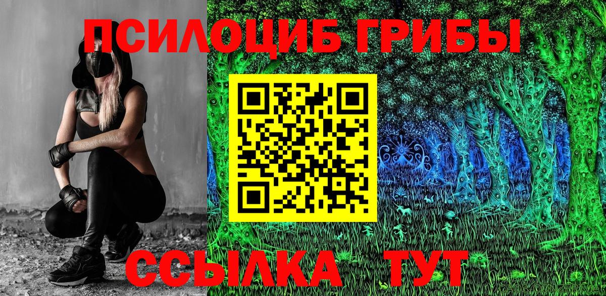 Галлюциногенные грибы прущие грибы  Вход с VPN  Майкоп 